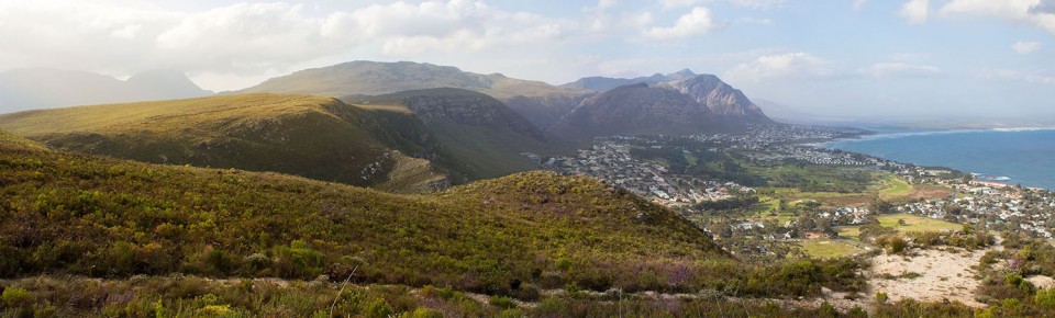Hermanus Nature ReservesTake a walk through the wilderness...